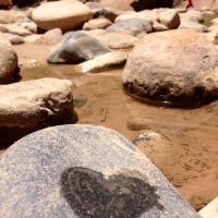 Love of River
